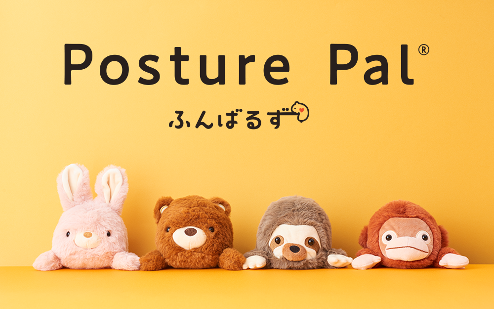 Dreams Posture Pal Ergonomic Support Plush